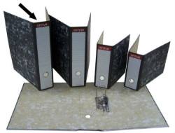 250_100001.JPG