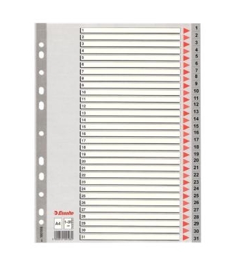 SEPARADOR ESSELTE 1-31 A4 PP 49210 GRIS