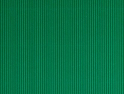 250_131395c.jpg