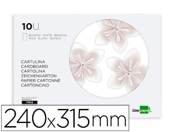 BLOC MANUALIDADES LD 163901/TM14 10H