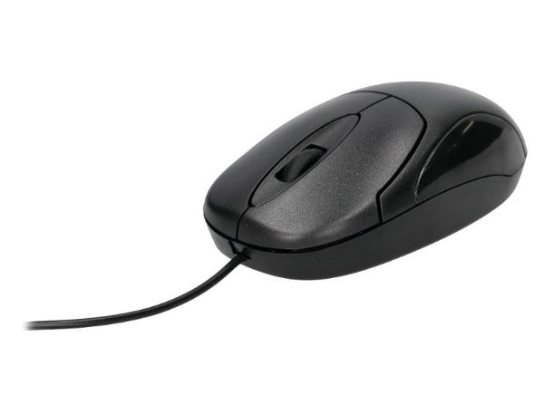 162445c.jpg