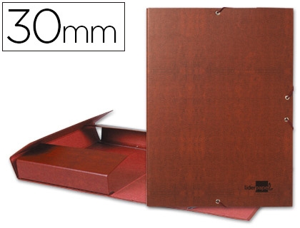 CARPETA PROY.LID.GOM.L30 CUER.25282/PY32