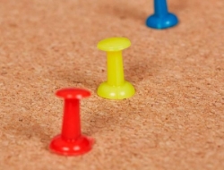 250_163920c.jpg