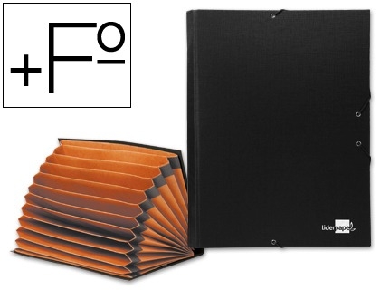 CLASIFICADOR FUELLE LD 24082/CF02 12D NE