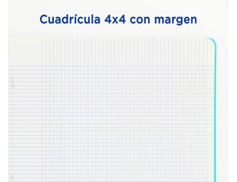 167968c.jpg
