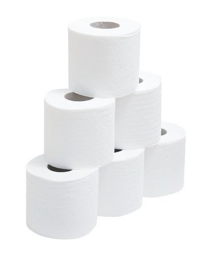 PAPEL HIG.DOM.BUGA 31597 P/48un
