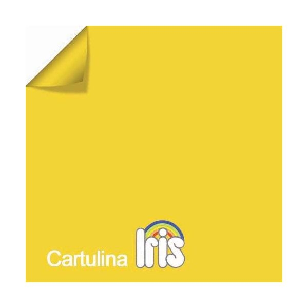 CARTULINA 50x65 185 IRIS CUERO 200040269