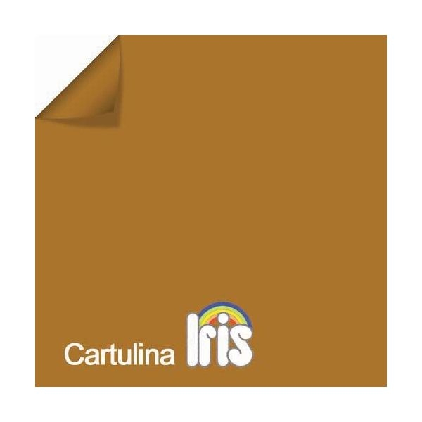 CARTULINA 50x65 185 IRIS CHOCO.200040270
